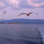 aegean-sea Photos