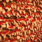 arctic-circle-santa-claus-home Photos