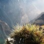 colca-canyon-canon-del-colca Photos