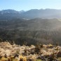 colca-canyon-canon-del-colca Photos