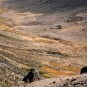 colca-canyon-canon-del-colca Photos