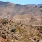 colca-canyon-canon-del-colca Photos