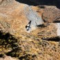 colca-canyon-canon-del-colca Photos