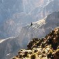 colca-canyon-canon-del-colca Photos