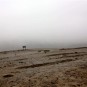 cotopaxi-volcano Photos