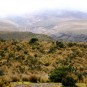 cotopaxi-volcano Photos