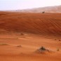 dunes-in-the-desert-in-the-arabian-pen Photos
