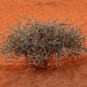 dunes-in-the-desert-in-the-arabian-pen Photos