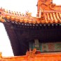 forbidden-city Photos