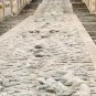 forbidden-city Photos