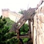 great-wall Photos