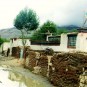 life-in-tibet Photos
