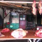 life-in-tibet Photos