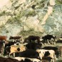 life-in-tibet Photos