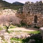 mycenae Photos