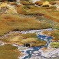 pampas Photos