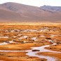 pampas Photos