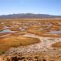 pampas Photos