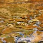pampas Photos