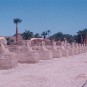 thebes-luxor-and-karnak-temples Photos
