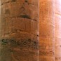thebes-luxor-and-karnak-temples Photos