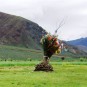 tibet-scenery Photos