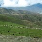 tibet-scenery Photos