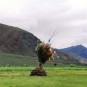 tibet-scenery Photos