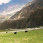 tibet-scenery Photos