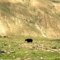 tibet-scenery Photos