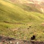 tibet-scenery Photos