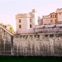 tower-of-london Photos