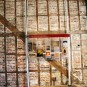 tower-of-london Photos
